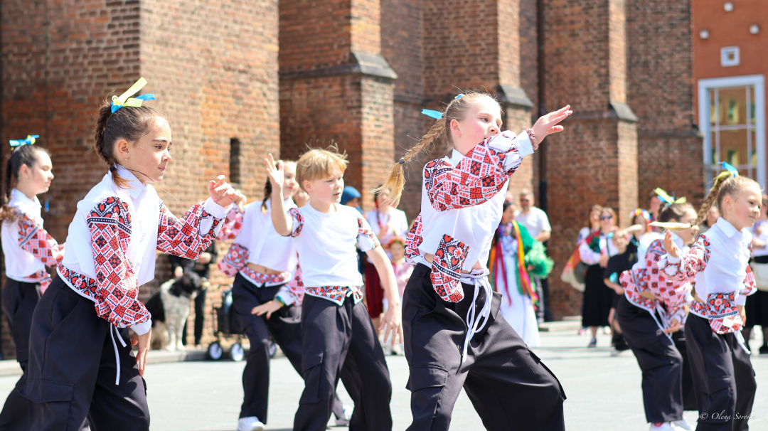 u niderlandah vidbuvsja svjatkovij zahid z nagodi dnja vishivanki fb2ade6