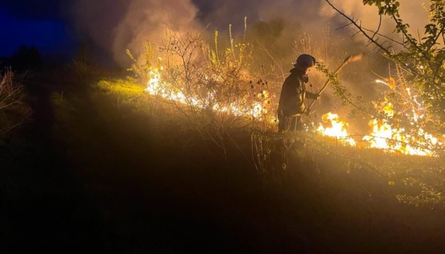 В екосистемах України від початку року сталося понад 25 тисяч пожеж