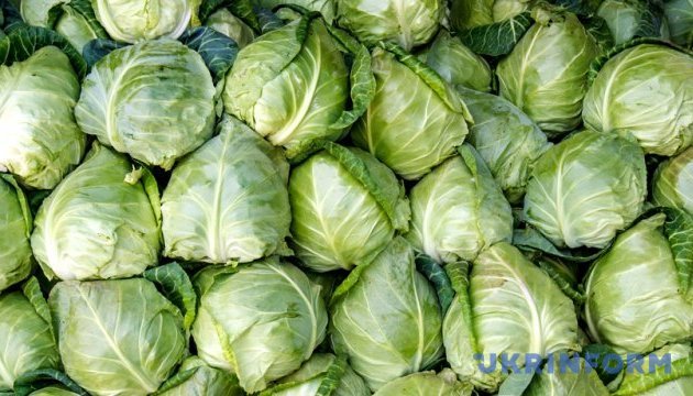 v ukrayini deshevshaye rannja kapusta f6fbb48
