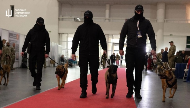 В Україні відбулися найбільші кінологічні змагання