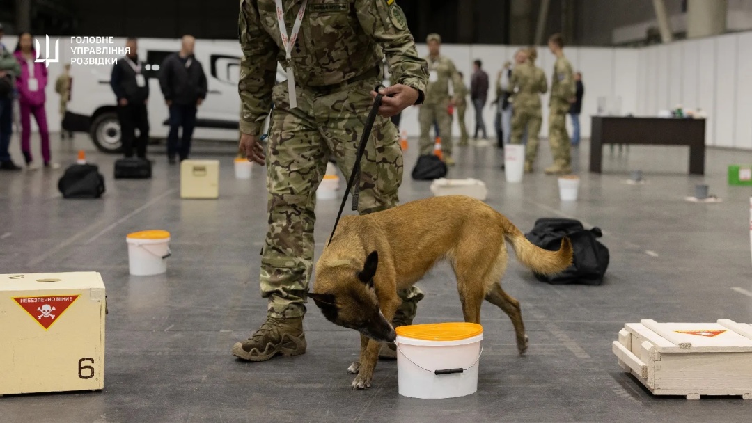 v ukrayini vidbulisja najbilshi kinologichni zmagannja 90c1517