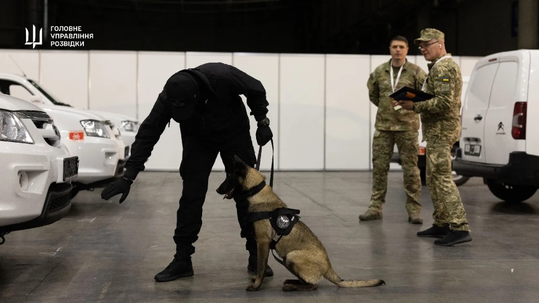 v ukrayini vidbulisja najbilshi kinologichni zmagannja 9b68725