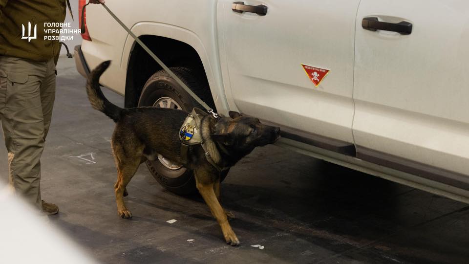 v ukrayini vidbulisja najbilshi kinologichni zmagannja f1ee8cf