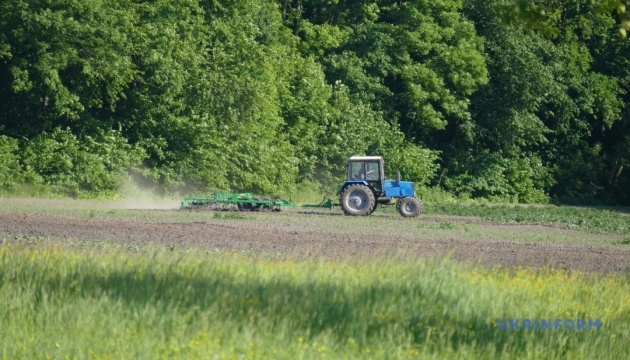 В Україні вже засіяли ярих зернових 87% від прогнозованих площ