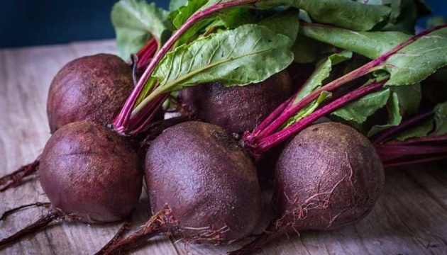 В Україні зросли ціни на торішній буряк