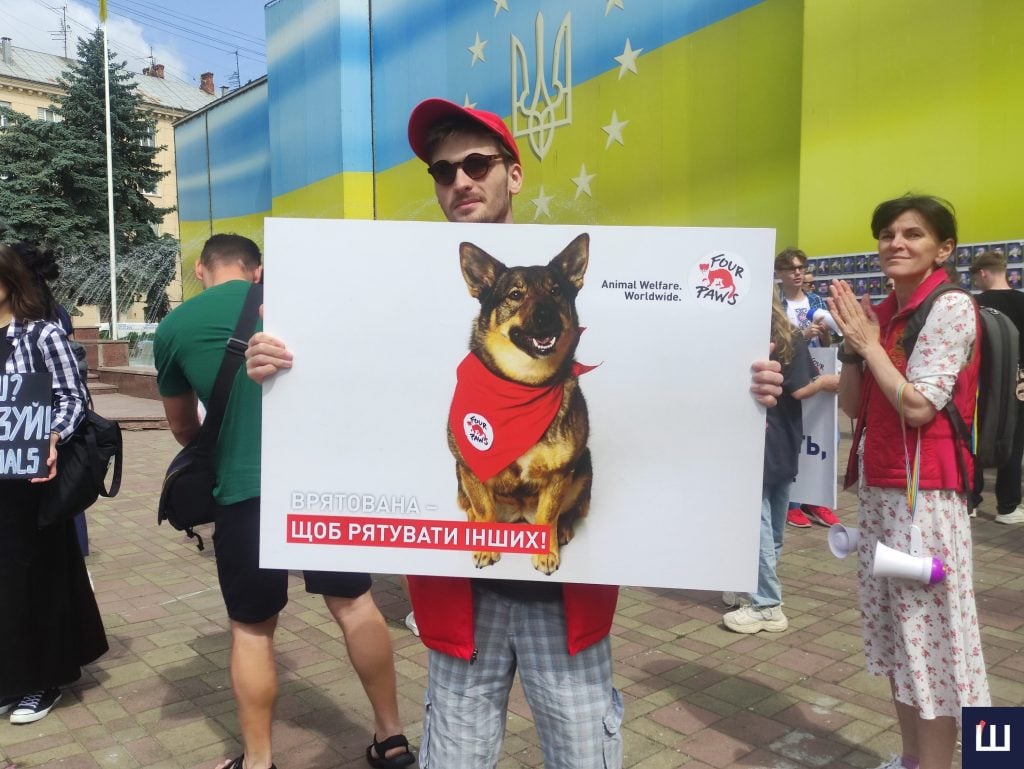 gumanni chernivci bezpeka dlja ljudej i tvarin u chernivcjah vidbuvsja marsh na pidtrimku bezpritulnih tvarin 5a949e5