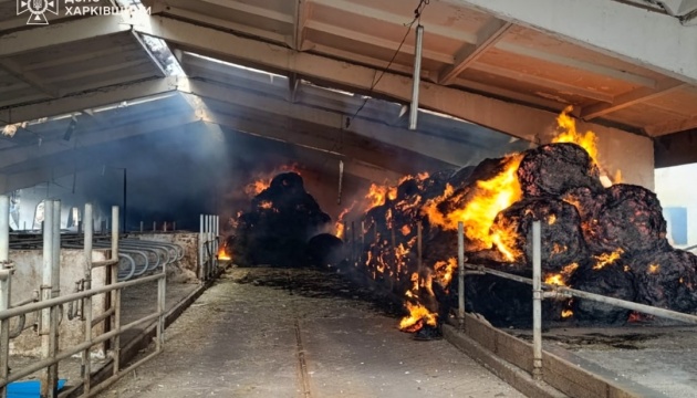 На Харківщині росіяни завдали авіаудару по сільгосппідприємству - двоє людей поранені, загинула худоба