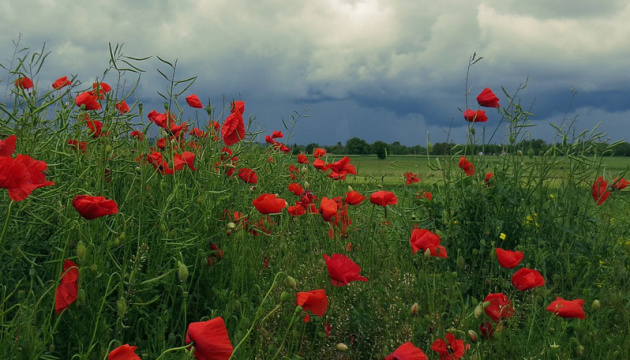 Сьогодні в Україні короткочасні дощі та грози, на півдні прогріє до +32°