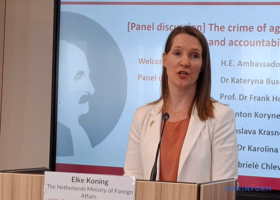 u gaazi rozpovili pro pravovu model spectribunalu shhodo zlochinu agresiyi proti ukrayini 9d83fd2