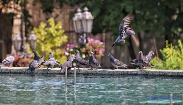 В Україні переважатиме суха погода, вдень прогріє до +28°