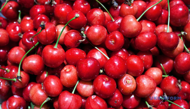 В Україні подешевшала місцева черешня