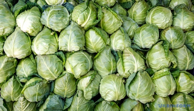 В Україні знизились ціни на капусту нового врожаю
