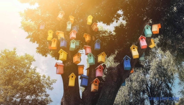 Сьогодні в Україні без опадів, подекуди до +33°