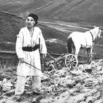 u kiyevi vidbudetsja retrospektiva poetichne kino rozkvit shho pokazhut f4196fb