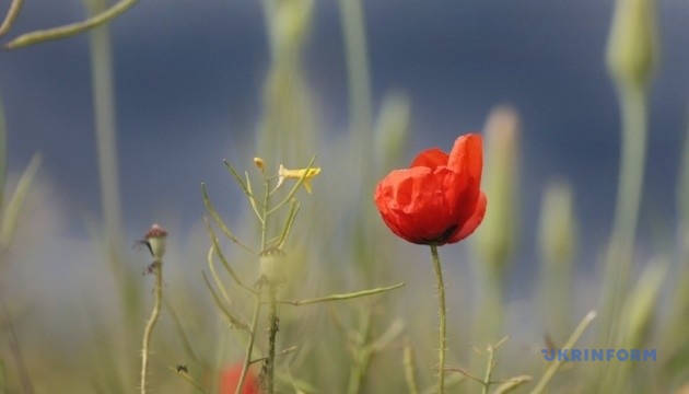 Завтра в Україні до +39°, подекуди дощі з грозами та градом