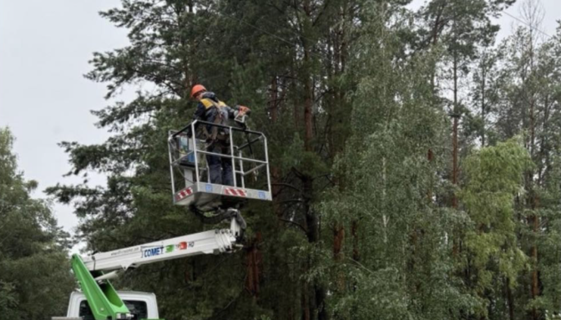 На Київщині внаслідок негоди без світла залишилось 60 тисяч клієнтів