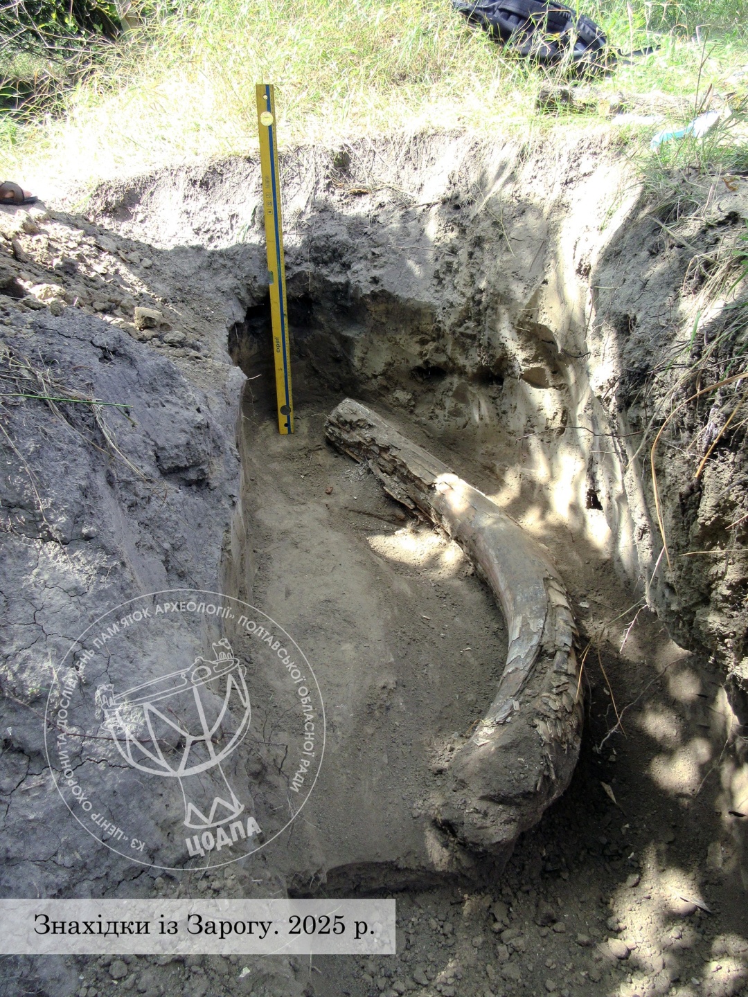 na poltavshhini znajshli biven mamonta 530223a