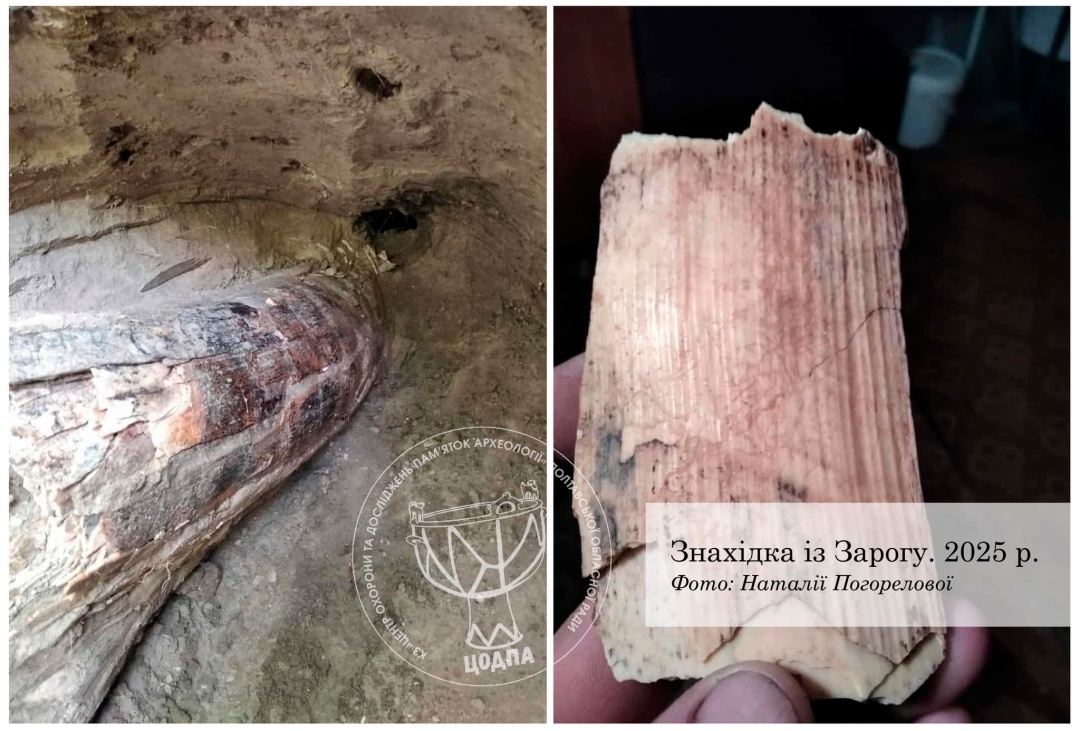 na poltavshhini znajshli biven mamonta e4393ad