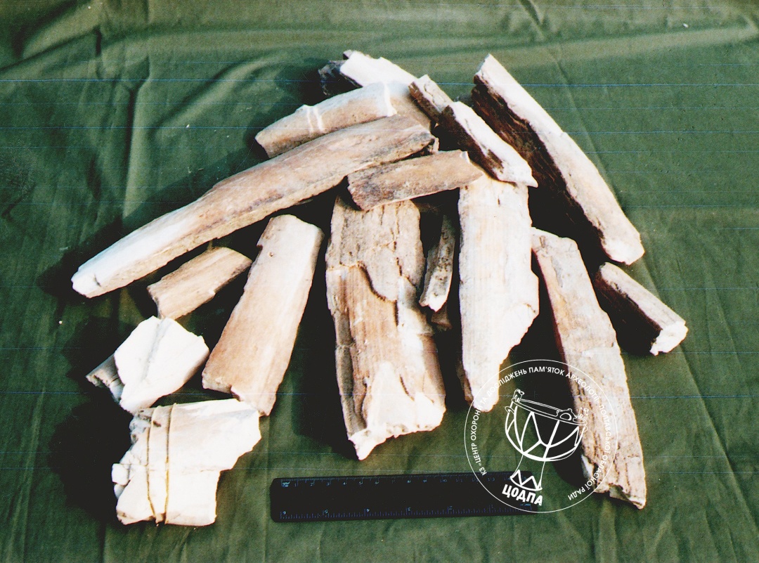 na poltavshhini znajshli biven mamonta e84dbff