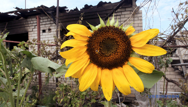 Росіяни за добу вбили двох і поранили сімох жителів Донеччини