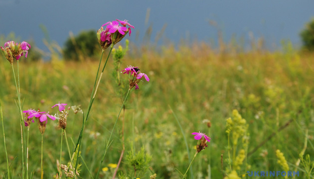 Сьогодні в Україні майже без опадів, удень до +29°