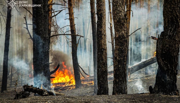 В екосистемах України цьогоріч сталося понад 40 тисяч пожеж - ДСНС