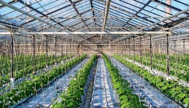 Завдяки грантам розвиток садівництва в Україні пришвидшився вчетверо - профільна асоціація