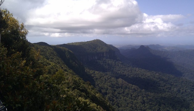 Дощові ліси в Австралії викидають більше вуглецю, ніж поглинають 