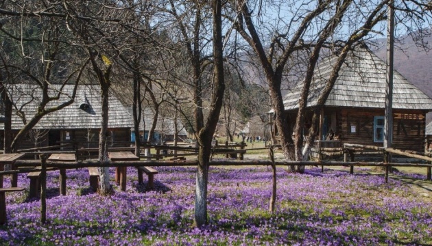 Колочава й Синевирська Поляна ввійшли до переліку найкращих туристичних сіл світу