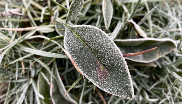 На заході України на початку тижня очікується значне зниження температури