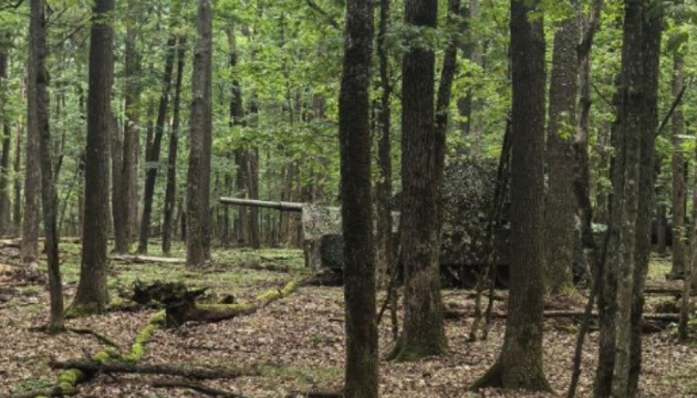 Партизани допомогли зірвати російський наступ під Вовчанськом