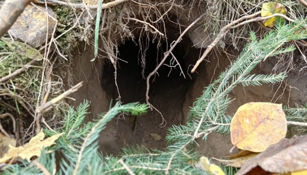 Польські прикордонники виявили тунель під кордоном із боку Білорусі