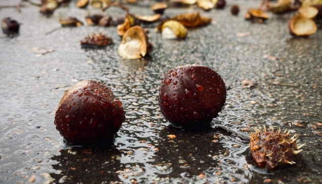 Сьогодні в Україні майже скрізь дощі