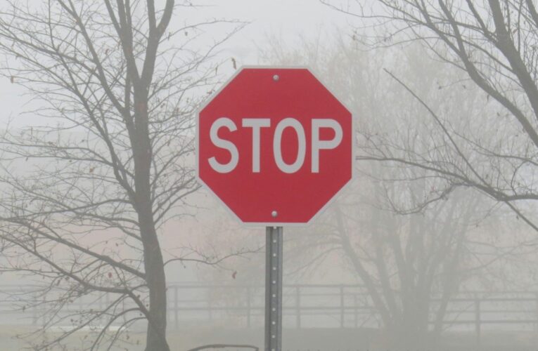 У Чернівцях тимчасово обмежать рух транспорту на одній із вулиць