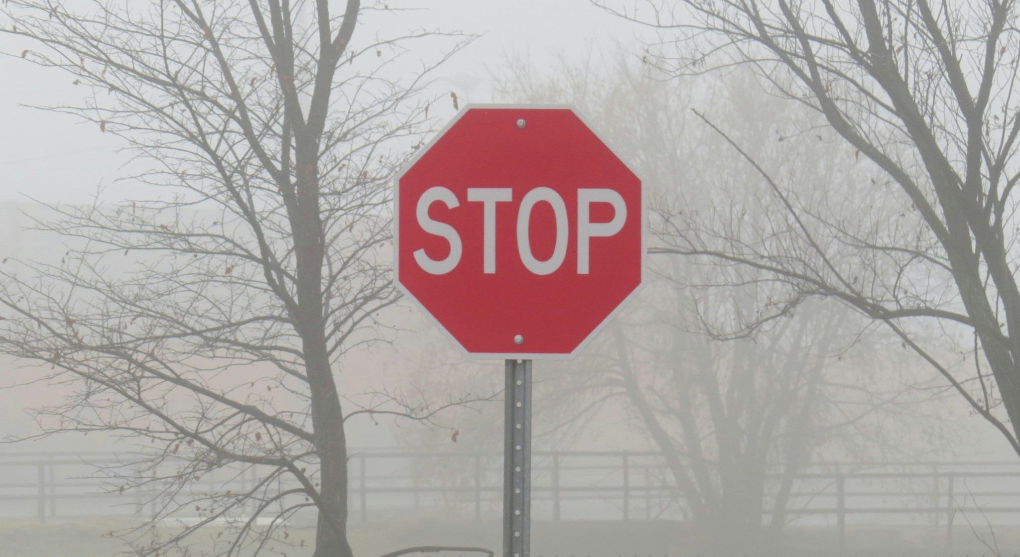 У Чернівцях тимчасово обмежать рух транспорту на одній із вулиць