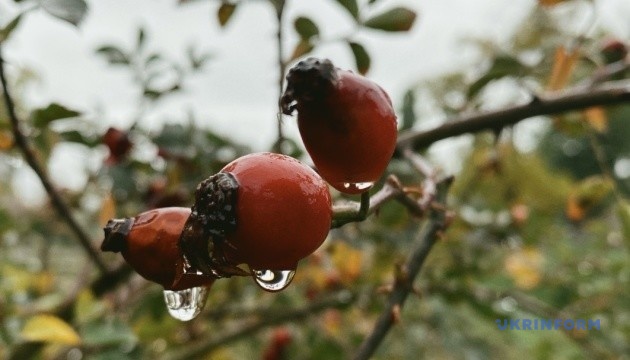 Україні прогнозують до +13°, майже без опадів