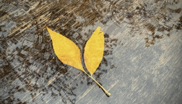 В Україні дощитиме, вдень до 9° тепла