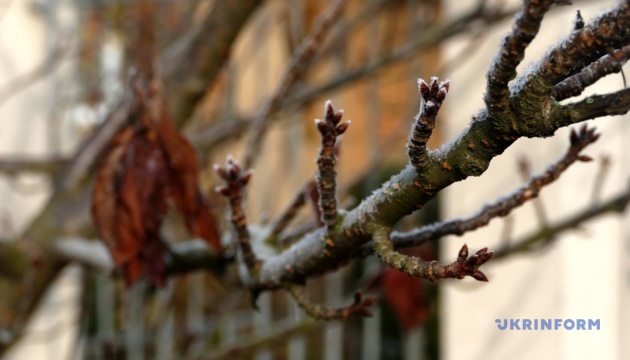 В Україні у четвер – заморозки на сході, вдень до 16° тепла