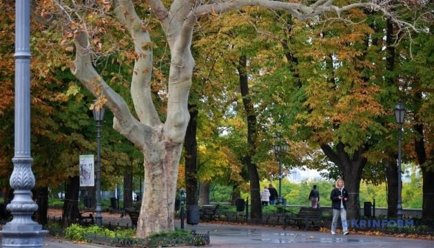 В Україні завтра - без опадів, місцями заморозки