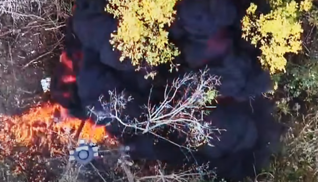 Вовчанський напрямок: прикордонники дронами знищили ворожу піхоту, яка просувалася «лісами і кущами»
