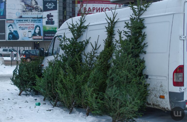 У Чернівцях із 1 грудня стартує продаж новорічних ялинок: визначили понад 10 локацій