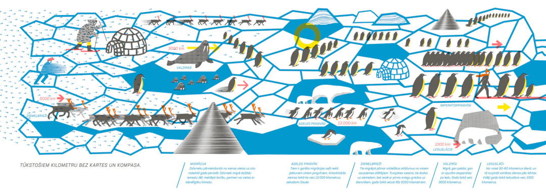 Фото: lielsmazs.lv