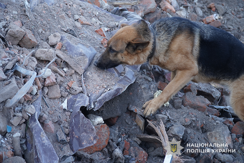 u ternopoli shukajut ostanki zniklih bezvisti sered ulamkiv budinkiv zrujnovanih udarom rf dccdc0f