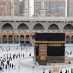 Скандальні файли Епштейна, реліквії з Мекки та генетичні експерименти