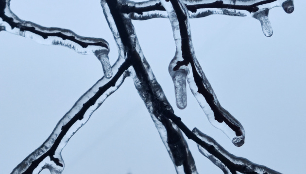 Мокрий сніг та ожеледиця: синоптики попереджають про погіршення погоди