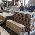 proveli ponad 60 obshukiv u kiyevi likviduvali bagatorichnu shemu tinovogo eksportu derevini abd91e8