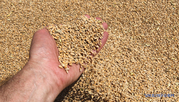 Турецький постачальник ООН купує крадене зерно з Маріуполя від російських виробників зброї