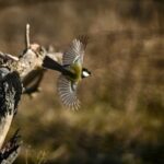 ukrayini u ponedilok prognozujut suhu pogodu progriye do 18deg 09c80da