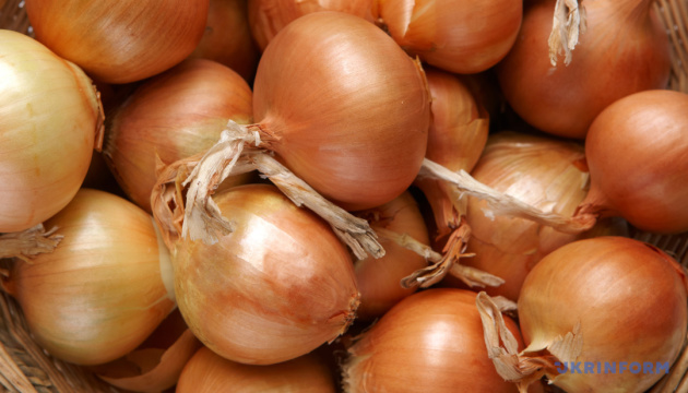В Україні подешевшала цибуля