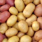 v ukrayini podeshevshali morkva i kartoplja fdc5dfe